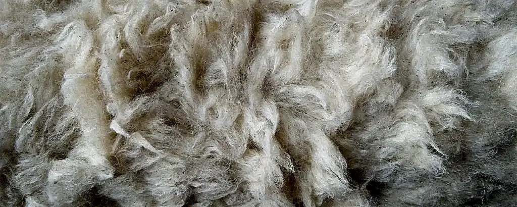 Ankara Yün Yıkama Firmaları